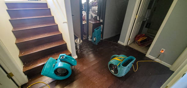 Best Water damage cleanup near me  in Marlboro, NY