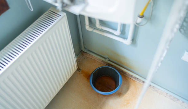 Best Carpet water damage restoration  in Marlboro, NY