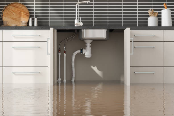 Best Local water damage restoration  in Marlboro, NY