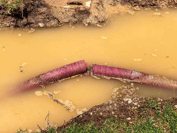 Best Water damage contractors near me  in Marlboro, NY