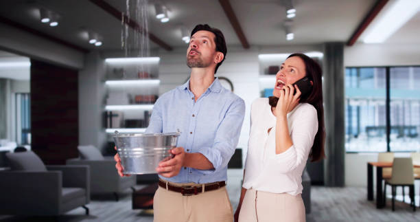 Best Professional water damage repair  in Marlboro, NY